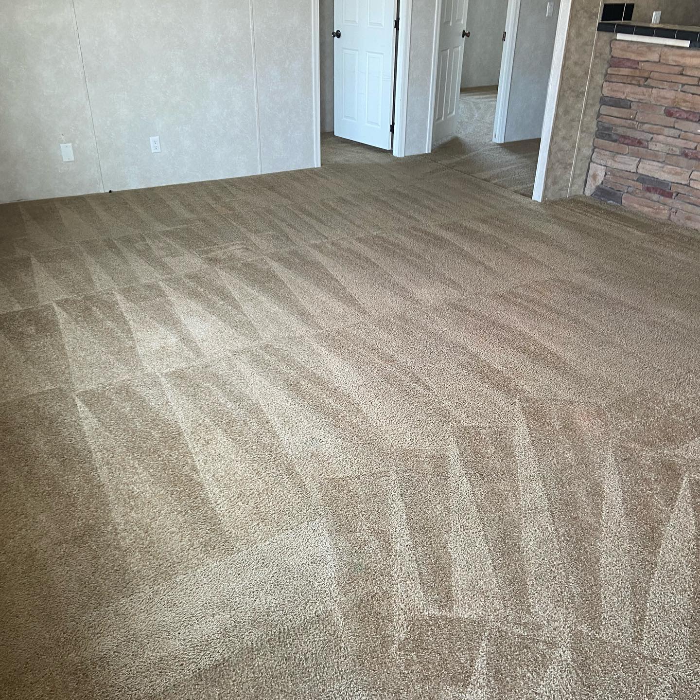 After — Full-Room Steam Cleaning — Northern Indiana