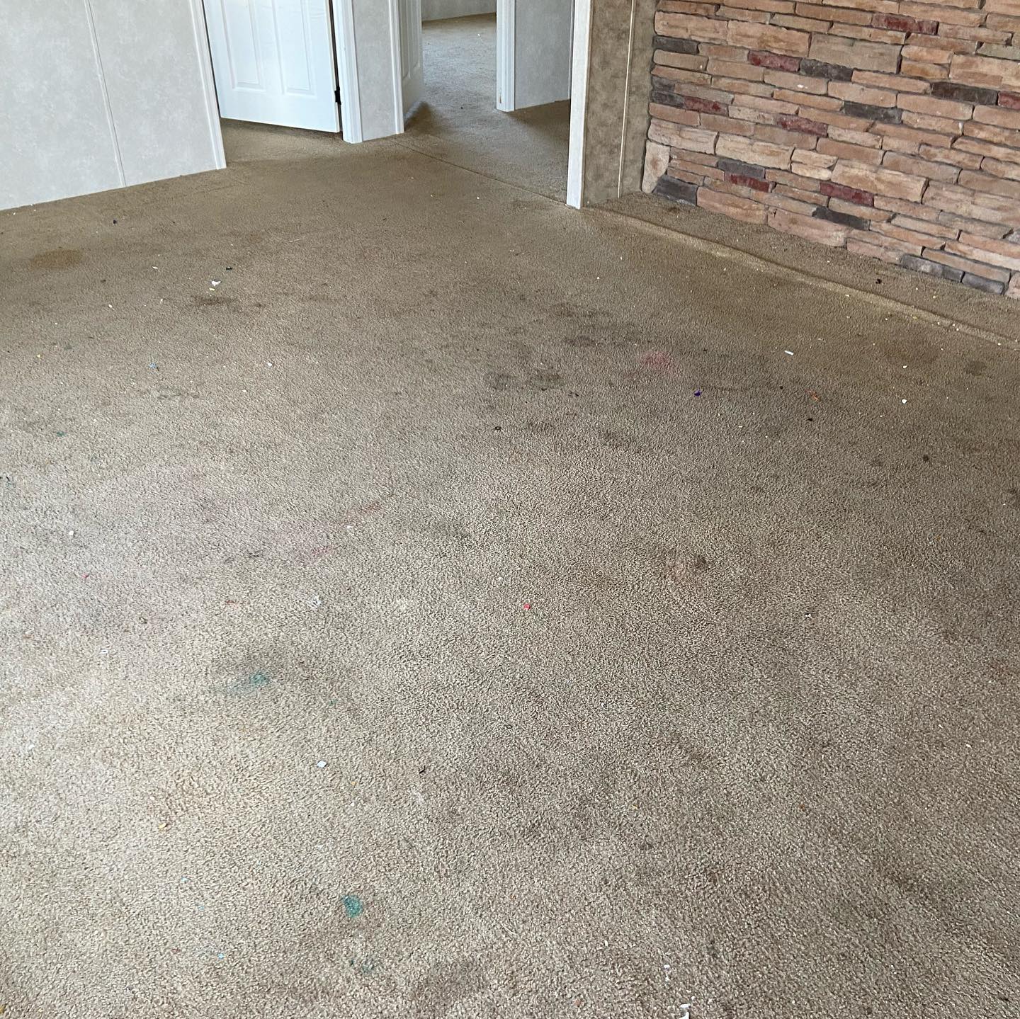 Before — Full-Room Steam Cleaning — Northern Indiana
